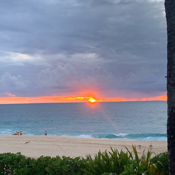 Meet your Posher, Ivy - Picture 9 of 10